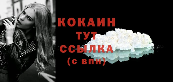 спайс Арсеньев